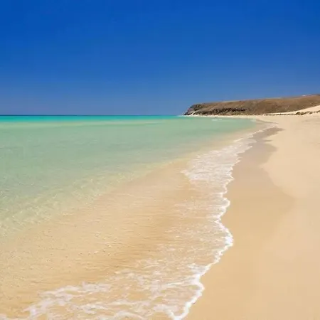 Ele Hause Tropical Paradise 타라할레호