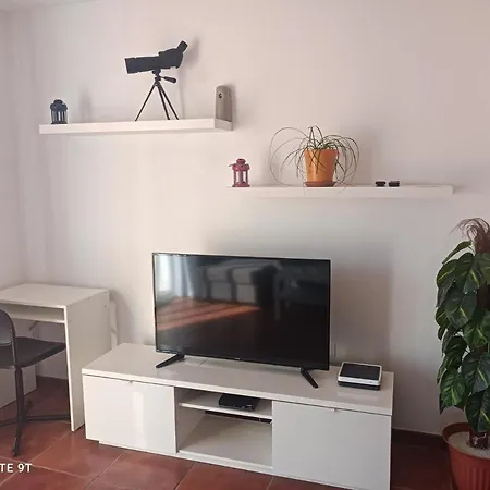 Ele Hause Tropical Paradise 아파트