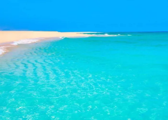 아파트 Tropical Paradise 타라할레호