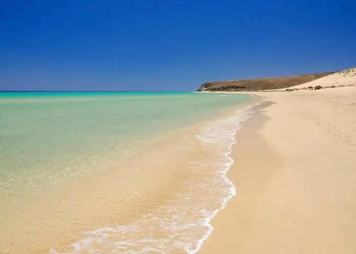 Tropical Paradise 타라할레호