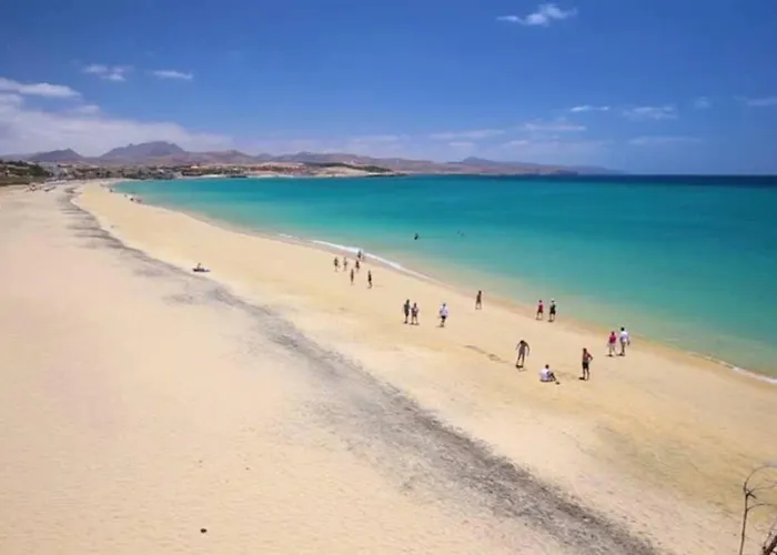 Tropical Paradise 아파트 *