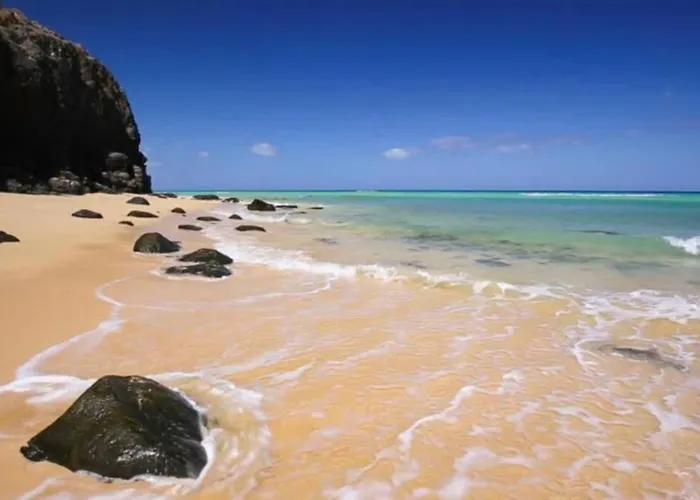 Tropical Paradise 아파트 *