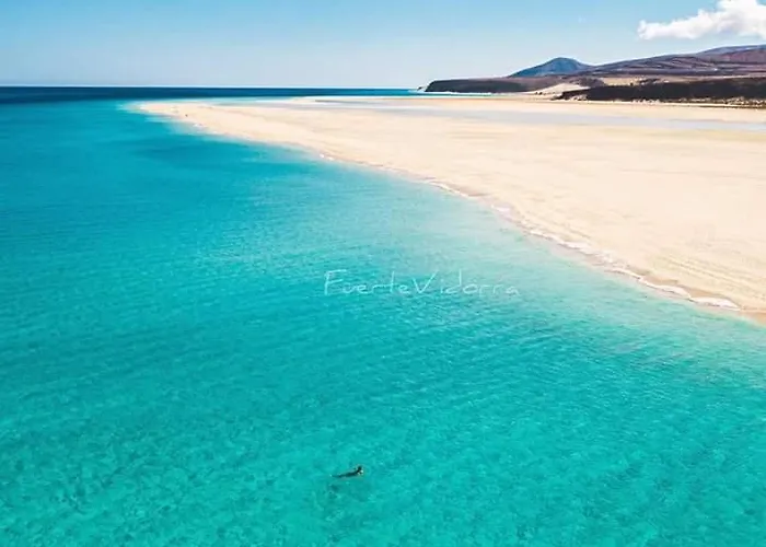 아파트 Tropical Paradise